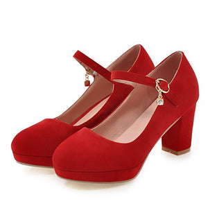 Mary Jane Shoes for Women High Heels Platform Pumps Round Toe Buckle Strap Block Heel Ladies Shoes Office Dress Shoes Blue Black